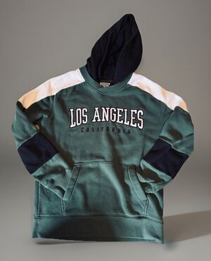 Hollister Los Angeles California Sportswear Size XS